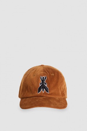 Patrizia Pepe Cotton Baseball Cap Beige | 60GYDXCTU