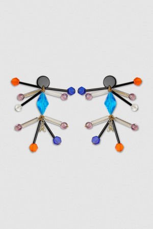 Patrizia Pepe Earrings With Techno Pop Fly Appliqué Colorate | 74IMWHFVP