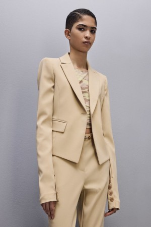 Patrizia Pepe Essential One-button Jacket Beige | 03NFHVKAW