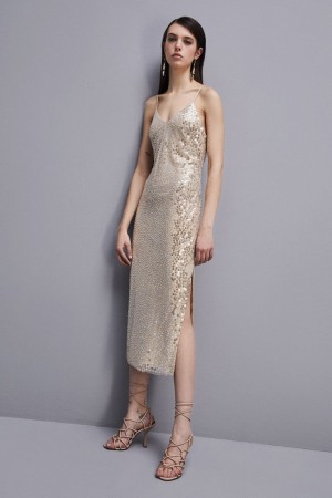 Patrizia Pepe Hand-embroidered Tulle Dress Beige | 39VLEJACI