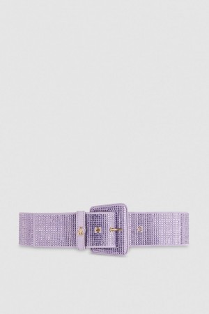 Patrizia Pepe High-waisted Belt With Rhinestones Rosa | 68EDHGQJA