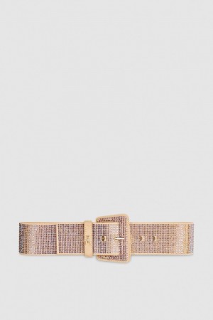Patrizia Pepe High-waisted Belt With Rhinestones Rosa | 61NYPGLXI