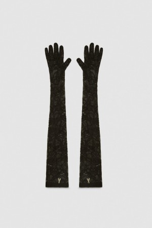 Patrizia Pepe Long Stretch Lace Gloves Nere | 64EHFTNVK