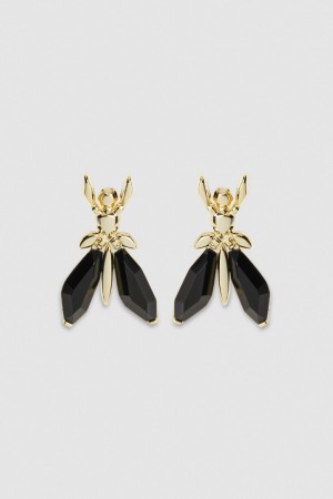 Patrizia Pepe Precious Fly Earrings With Stones Nere | 38CTVKULO