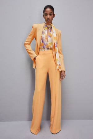 Patrizia Pepe Sablè Crepe Palazzo Pants Arancioni | 68ZJKEAOU