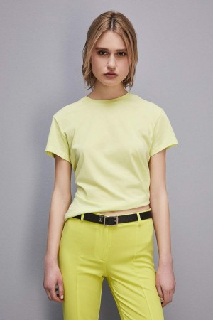 Patrizia Pepe Short-sleeved T-shirt With Logo In Organic Cotton Gialle | 97LHCRWUI